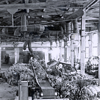 Сортировочное отделение картоноделательного цеха в 1957 году